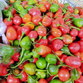 dalle khursani
