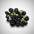 A cluster of small, glossy dark purple eggplant fruits attached to green stems, photographed from above on a plain off-white background.