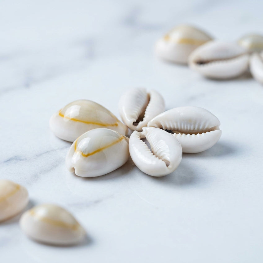 Five cowrie shells arranged in a flower-like cluster on a light marble surface, with two additional shells placed nearby and a few more shells blurred in the background.