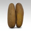Yellow Cucumber / Khalpi Kakra - 1stk