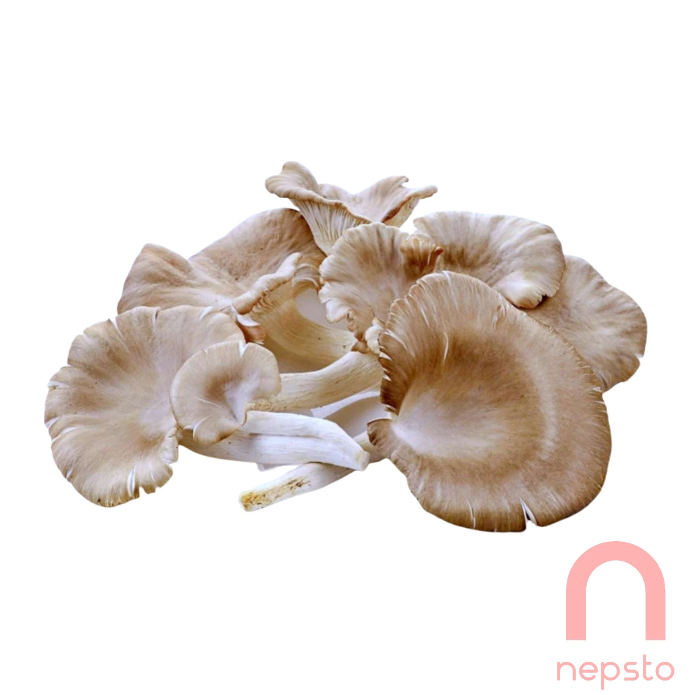 Mushroom - 150g