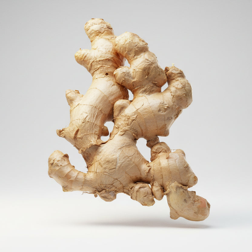 Ginger root on a white background