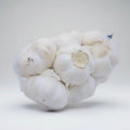A netted bag containing several bulbs of garlic.