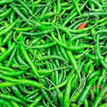 Grøn chili - 200 g
